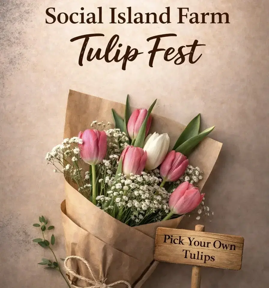 Social Island Farm - Tulip Fest - Day 2