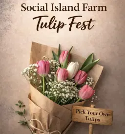 Social Island Farm - Tulip Fest - Day 2