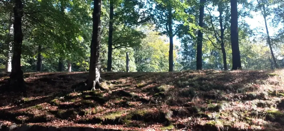 Guidad Stavgångsvandring - Arkitektur i Fixområdet