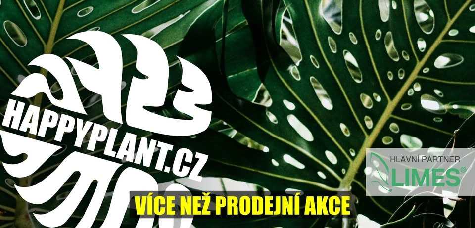 Matěj z HAPPYPLANT🔥 Exotické pokojovky 🌿 KADAŇ