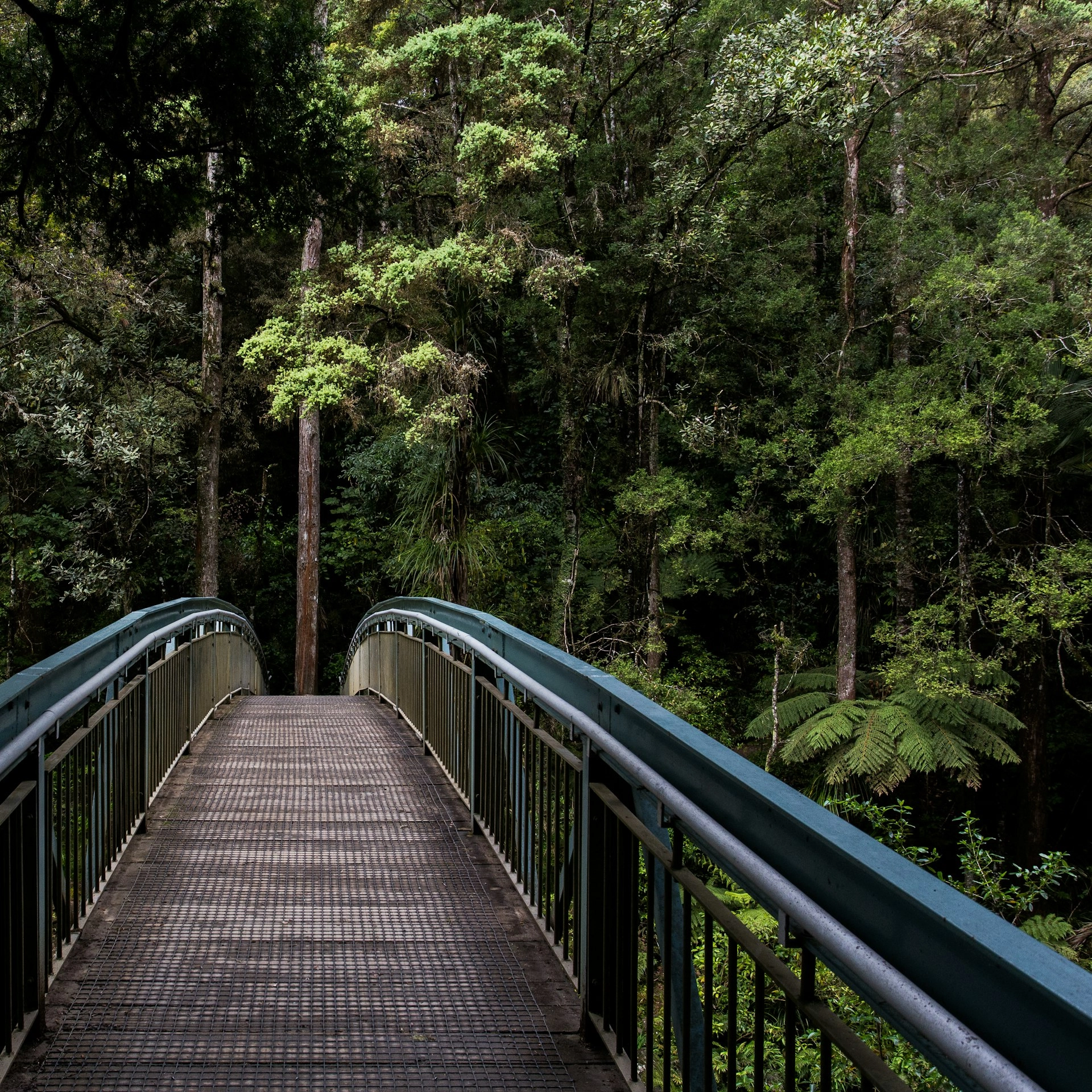 Beyond The Book: Sustainability Discussions (Pt 1)