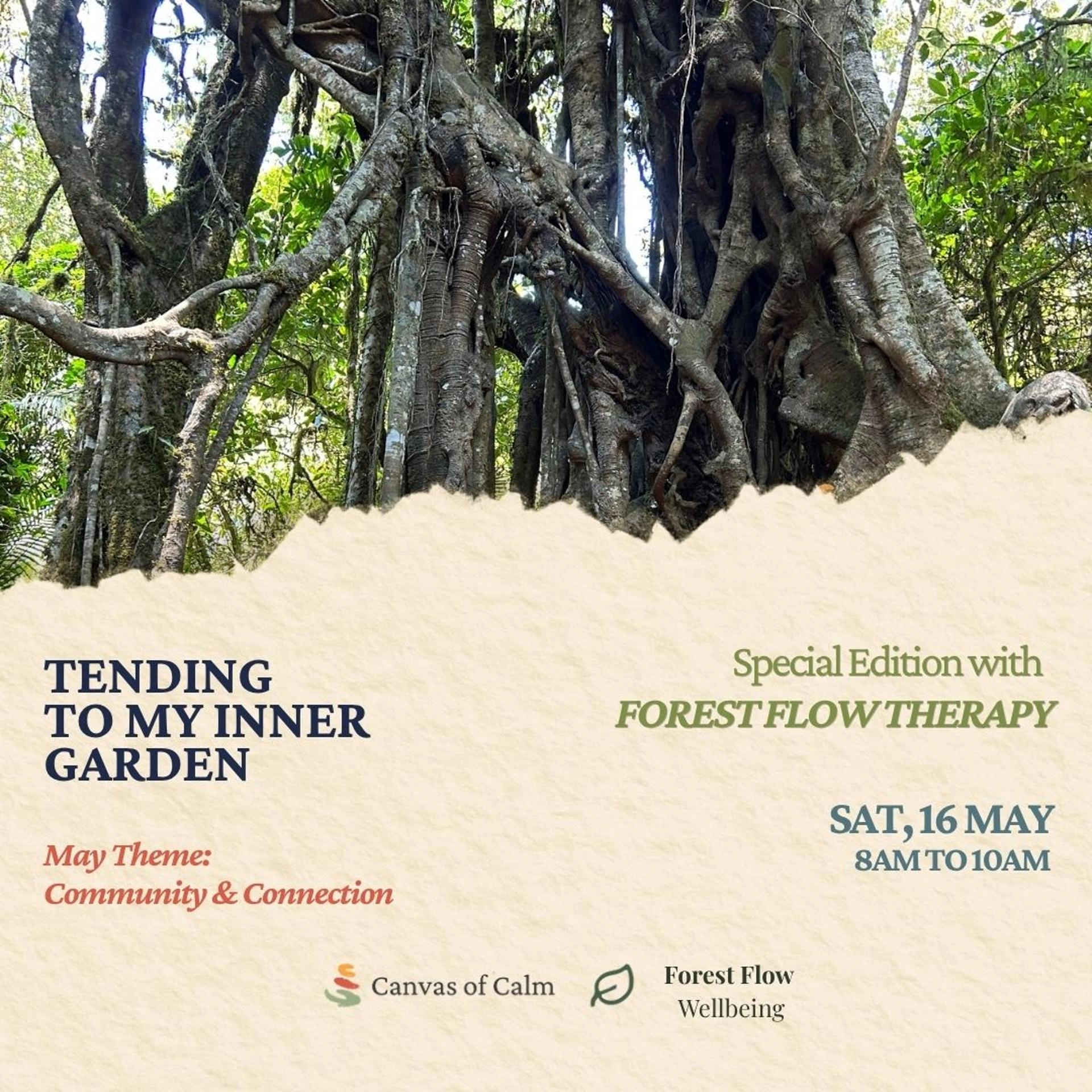 Tending to my inner garden: Special Edition with Forest Bathing