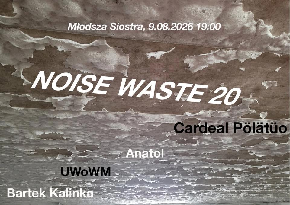 Noise Waste 20