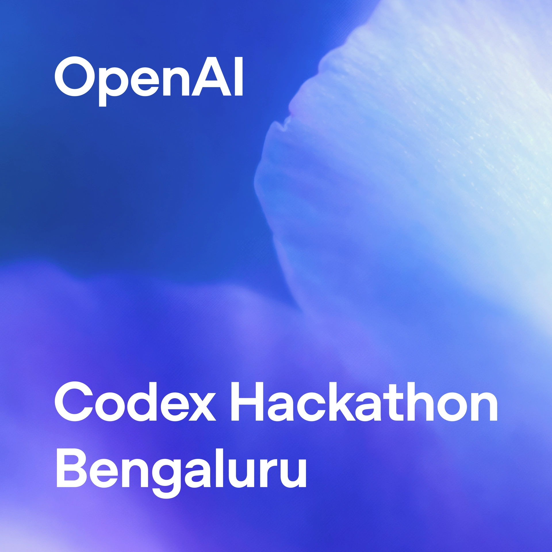 OpenAI Codex Hackathon - Bengaluru