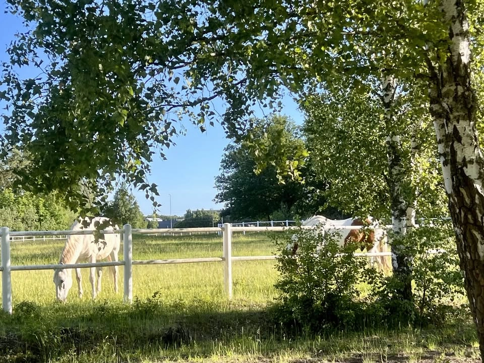 Välbefinnande Prova på