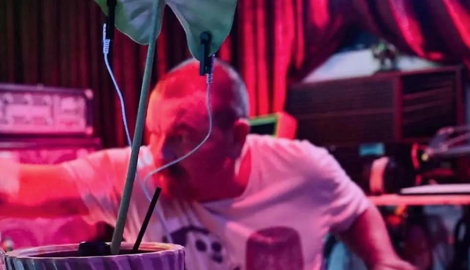 vegetable.machine.animal Album Release