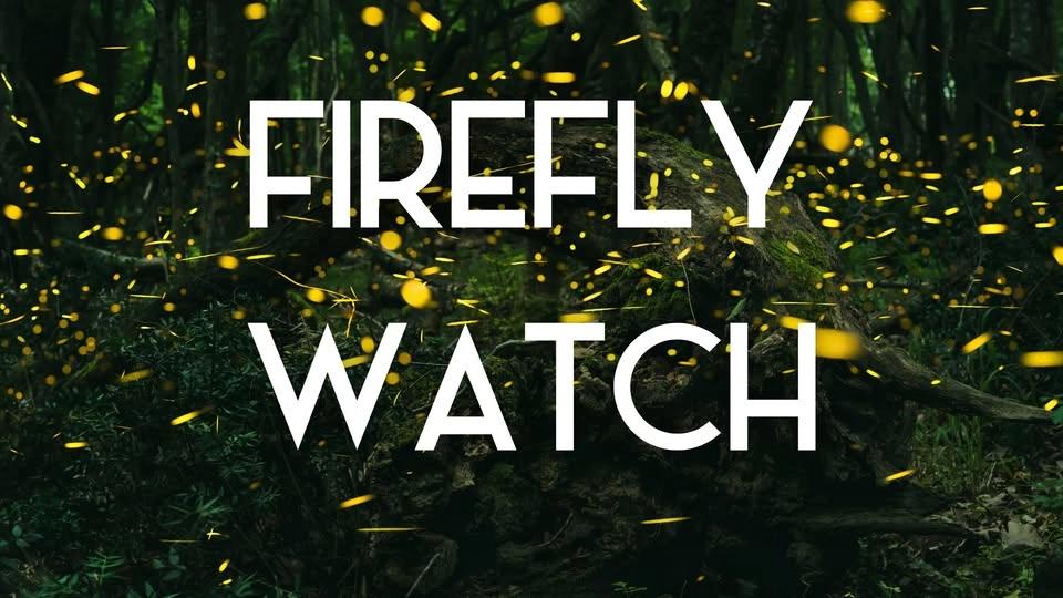 Firefly Watch