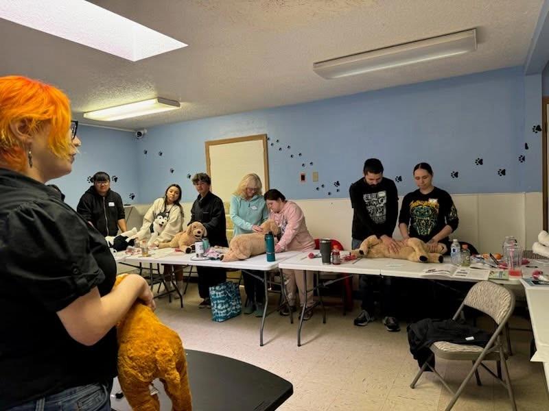 PetSaver CPR/First Aid Class 8 hour