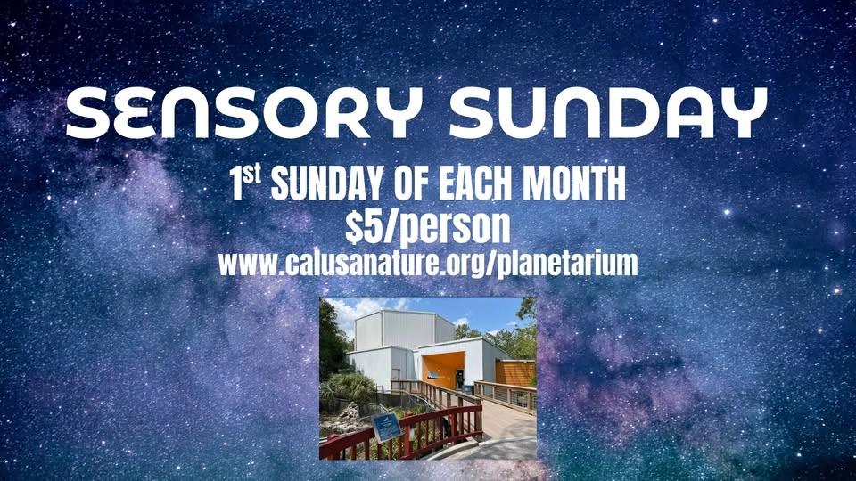 Sensory Sunday