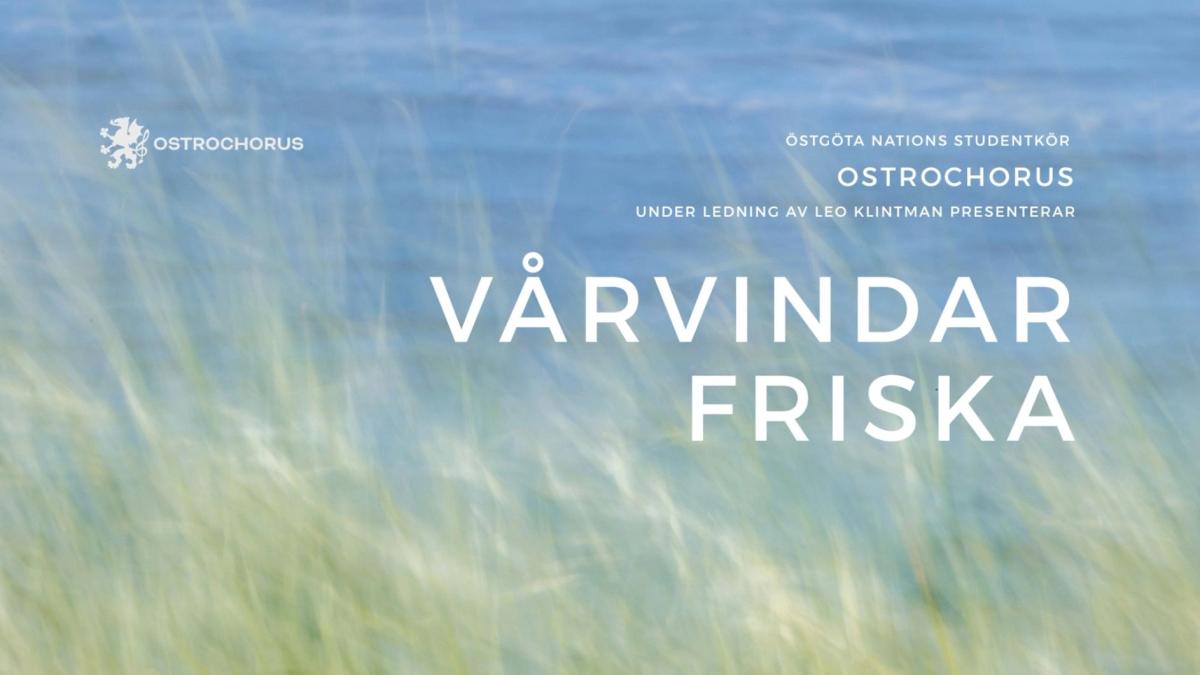 Vårvindar friska - Vårkonsert med Ostrochorus