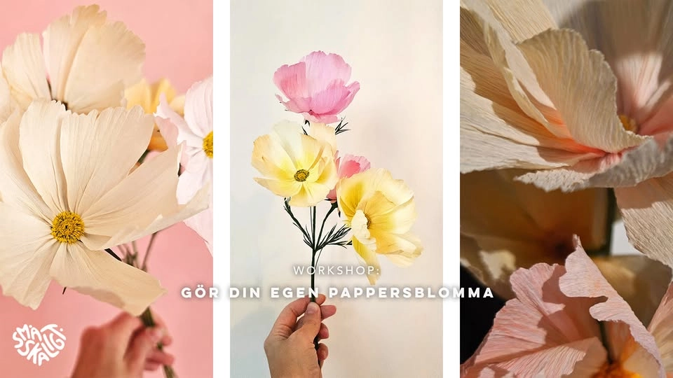 Gör din egen pappersblomma: Rosenskära