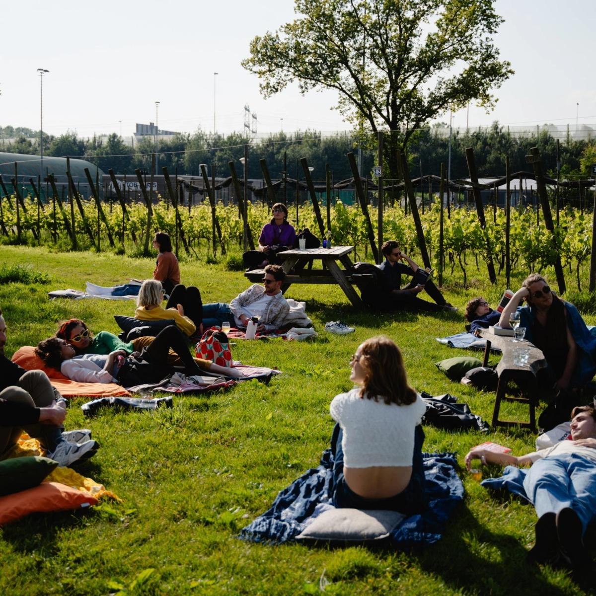 📚🎶 1-Hour Reading Rave | with Live Music | Volkspark am Weinberg | FREE Outdoor Event