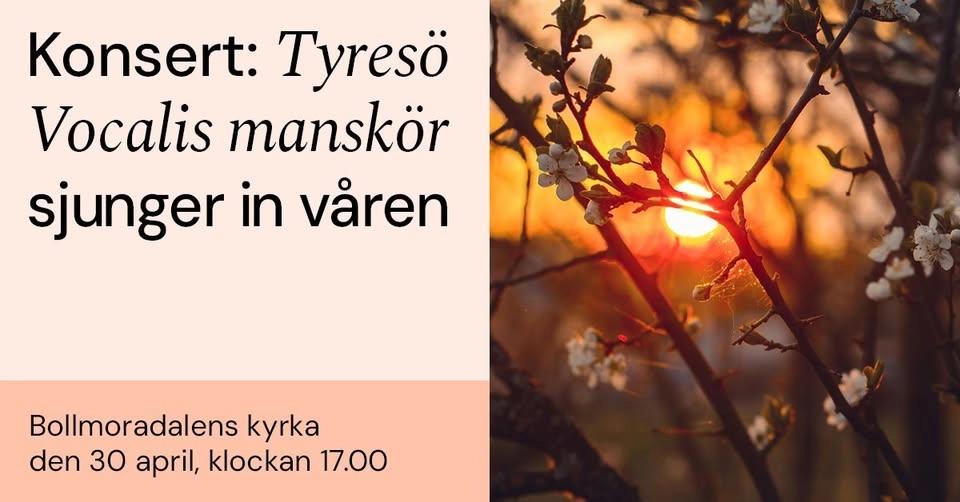 Valborgskonsert med Tyresö Vocalis manskör