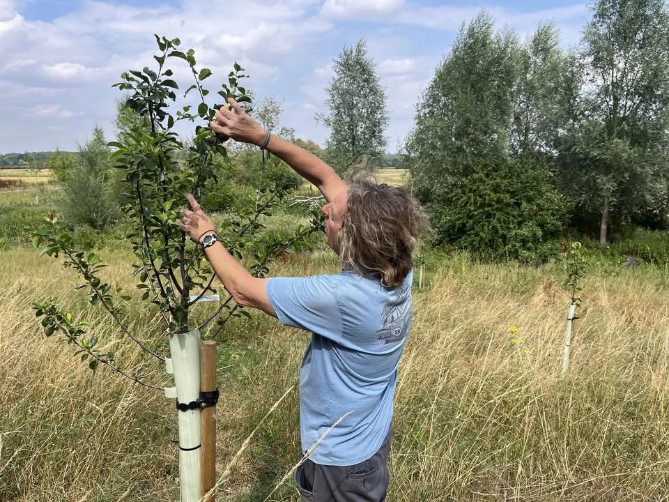 Summer Pruning Course