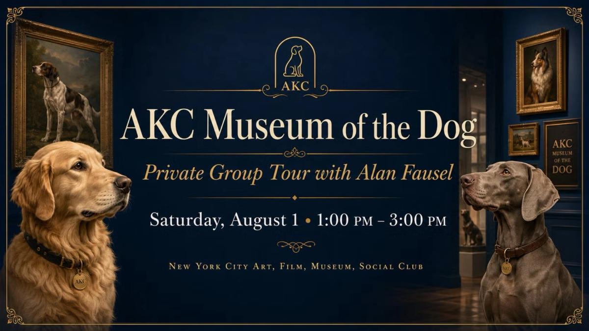 🐾 LET’S GO — AKC Museum of the Dog