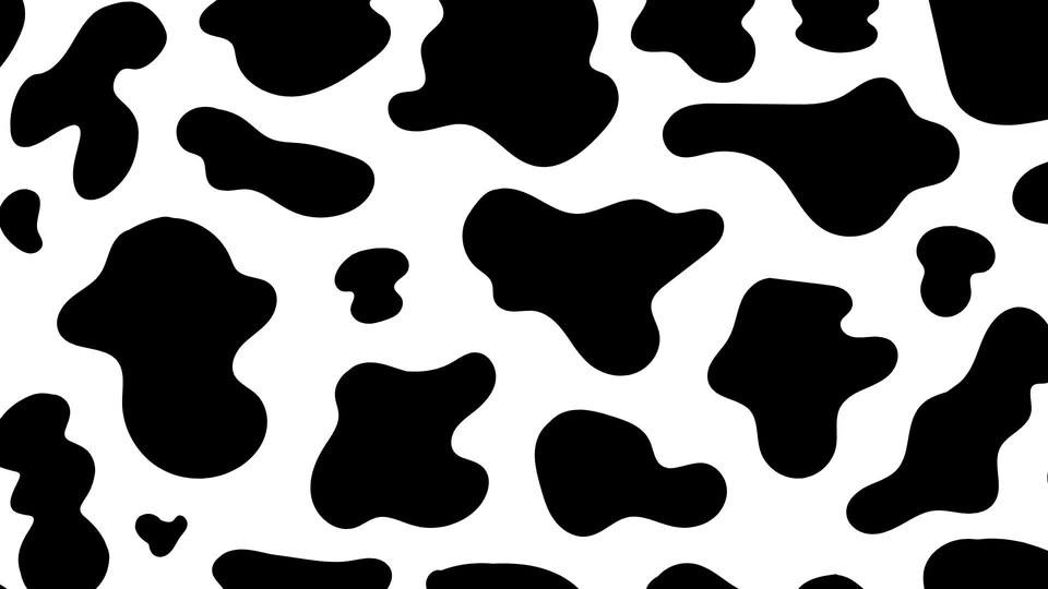 Oneida County Public Market🐮