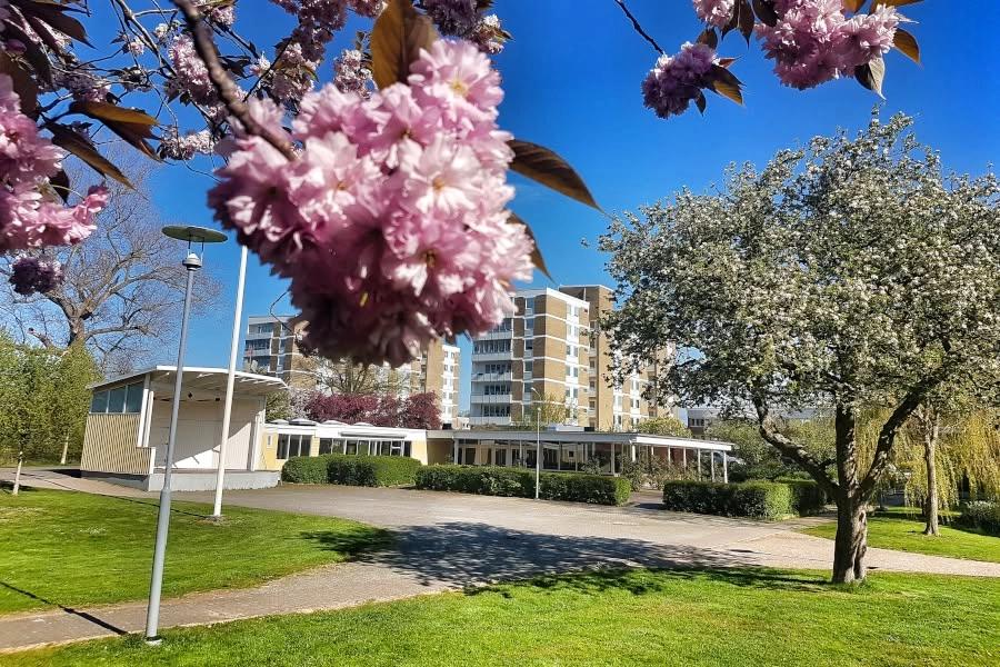 Sommardans i slottsparken (gamla slottscaféet)