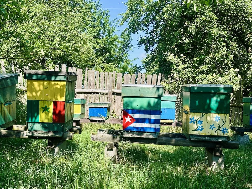 Komunikat z ula!
