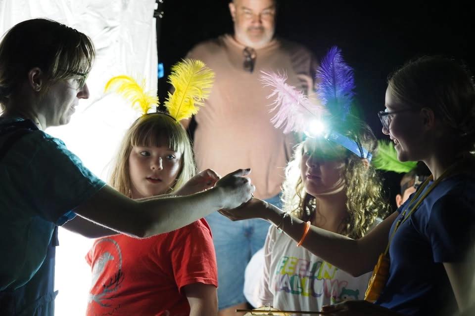 Moth Night 2026 – Family Program
