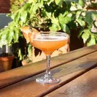 241 cocktails - happy hour at Paradise Garden