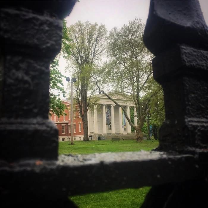 Trees of Snug Harbor Walk