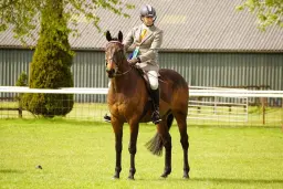 Norton District Riding Club Show with ,STARS, RoR ,EQUIFEST ,ESUK QUALIFIERS