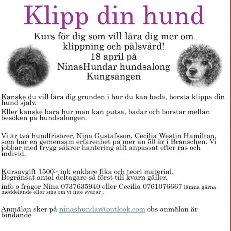 Klipp din hund