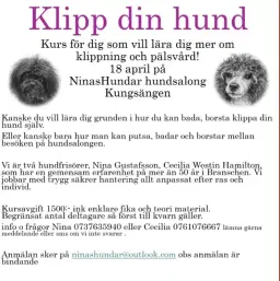Klipp din hund