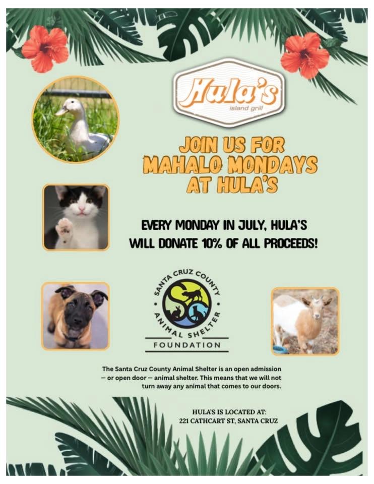 Mahalo Mondays at Hula's Island Grill Fundraiser