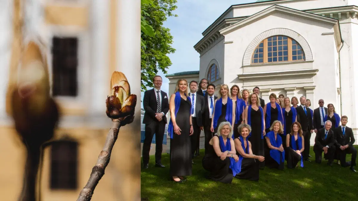 Valborgsmässokonsert