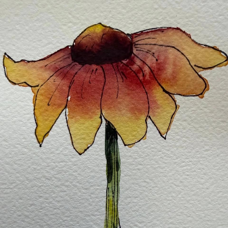 Beginner Watercolor with Pen and Ink: Summertime!