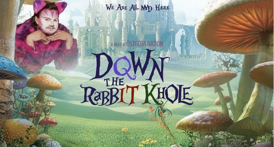 DQwn the rabbIT Khole