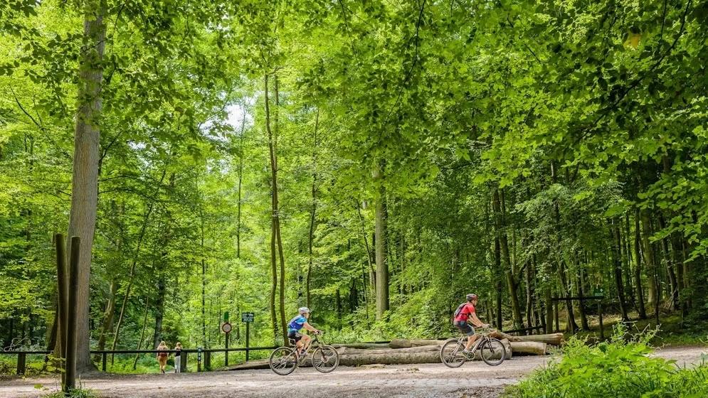 Chin chin bistro popup walk, 10 km