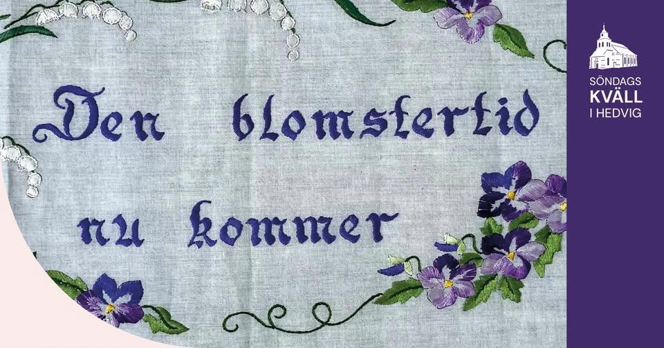 Söndagskväll i Hedvig: Nu lever sommaren
