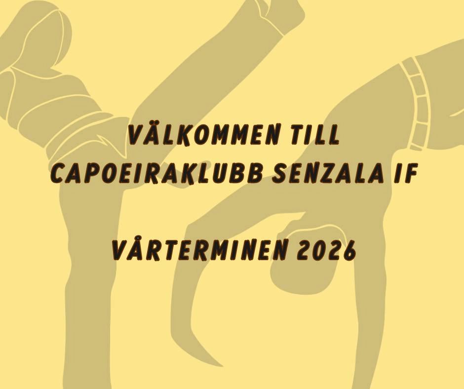 Kom och träna capoeira med oss!