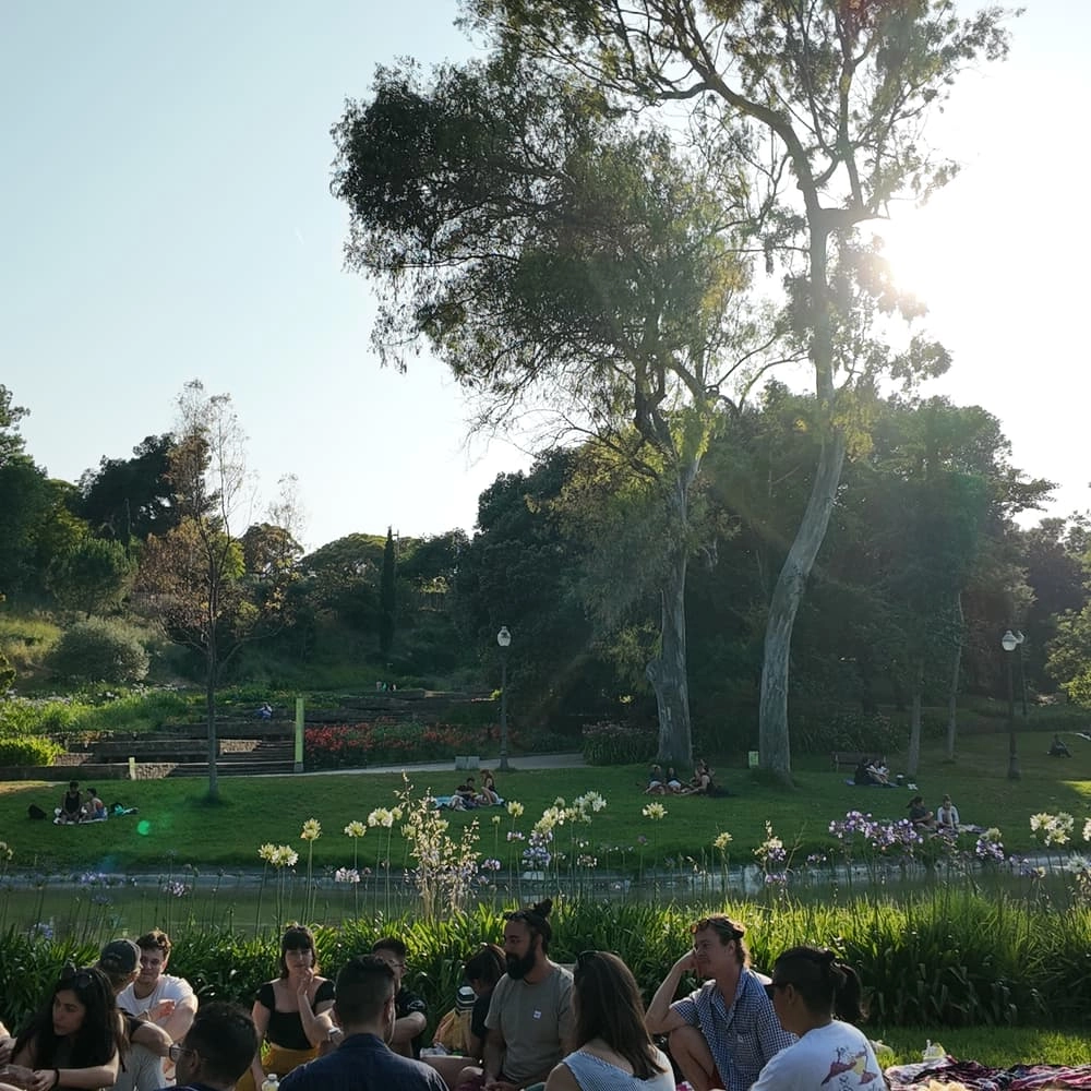 Offline Reading Party in the park | FREE XL STUNT