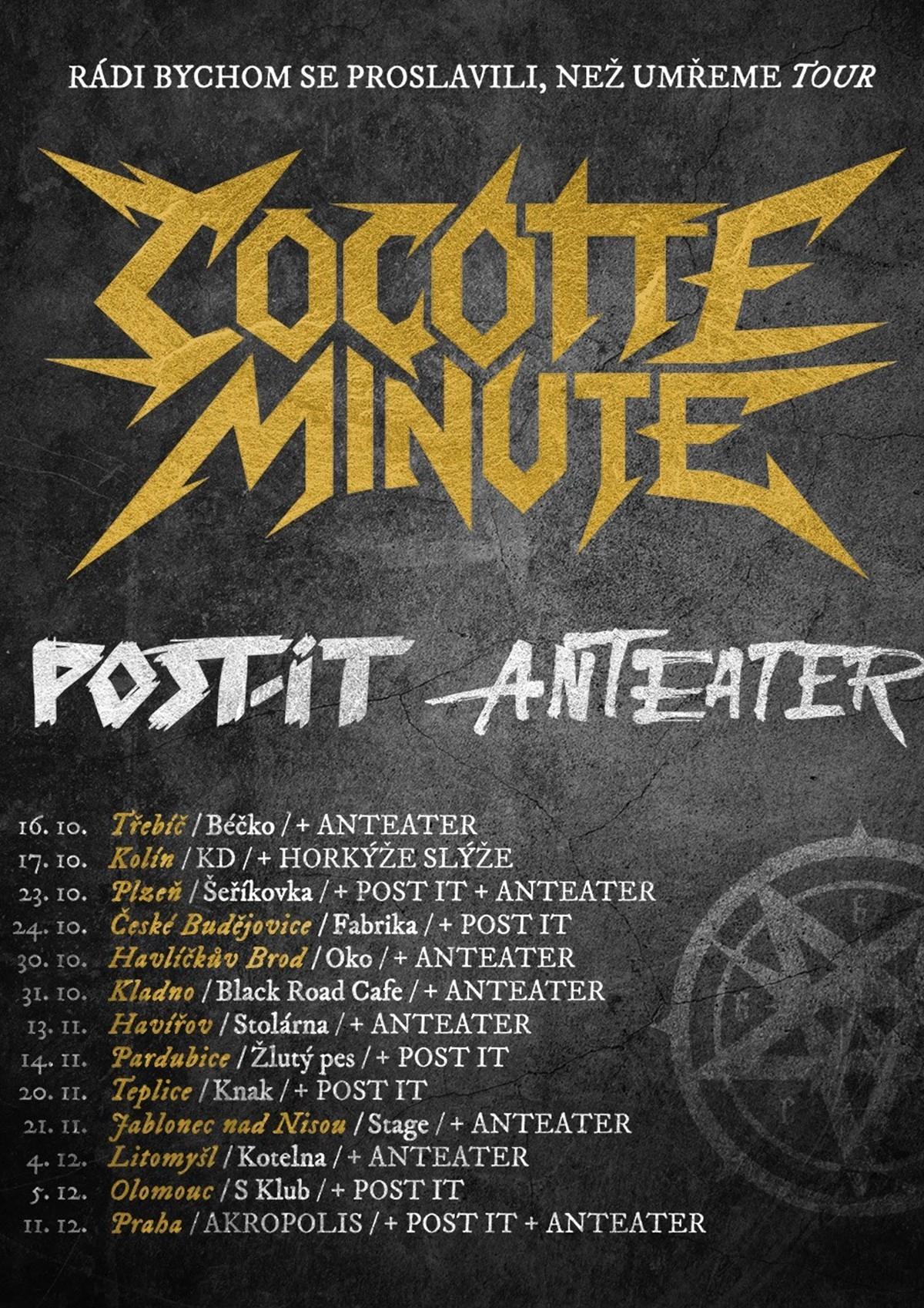 COCOTTE MINUTE