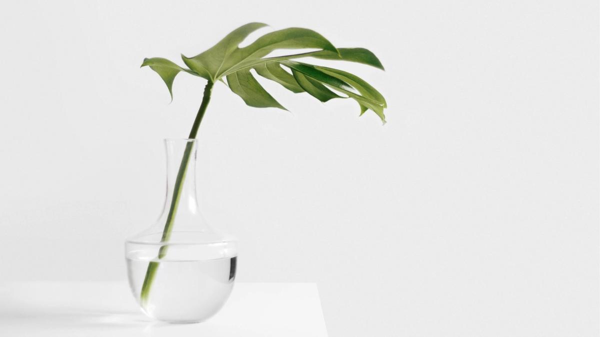 🌿 Créez, Transformez & Réalisez – Atelier DIY Écolo 🌿