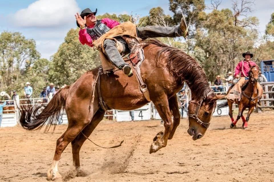 2026 Boddington Lions Rodeo