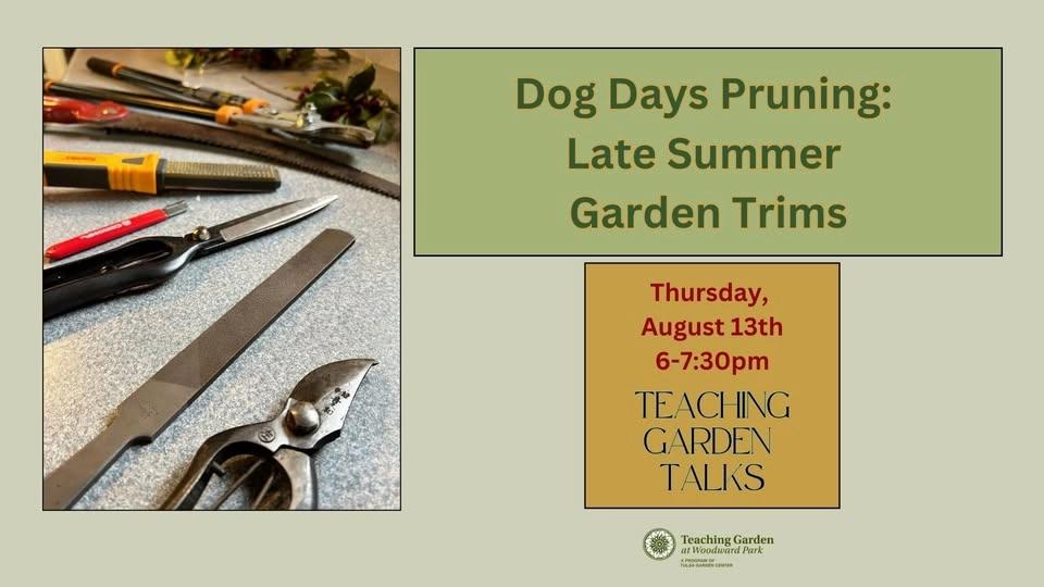 Dog Days Pruning: Late Summer Garden Trims