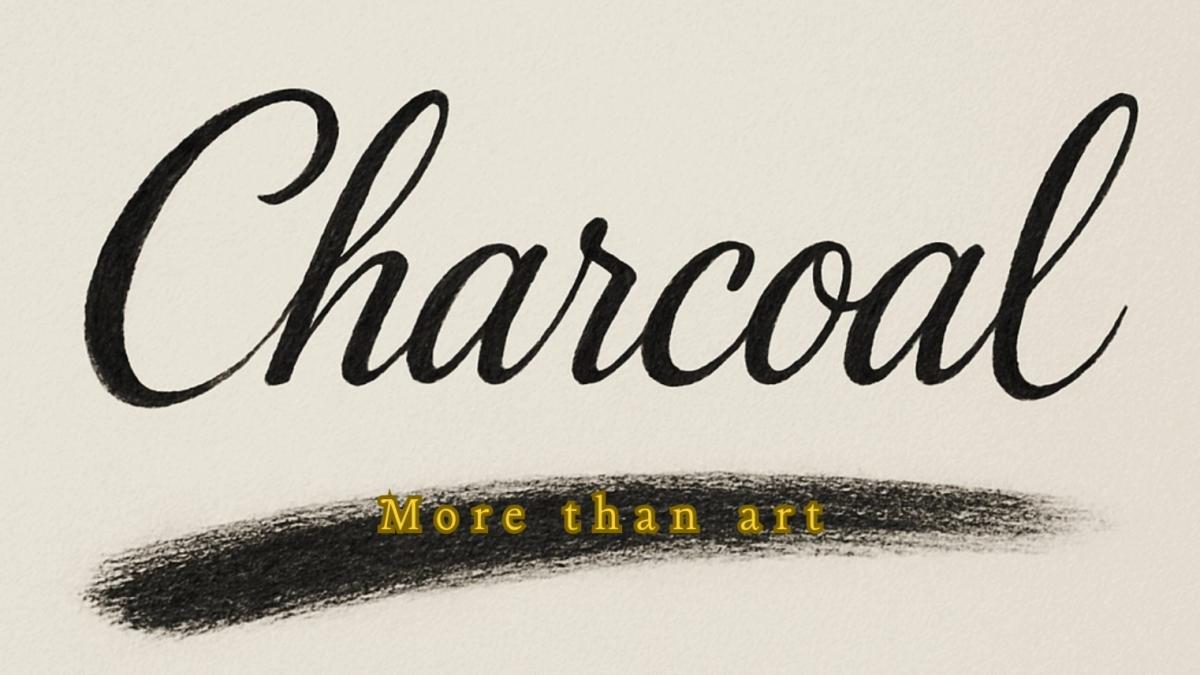 🏛️Charcoal Class in the Archeological Museum Zurich