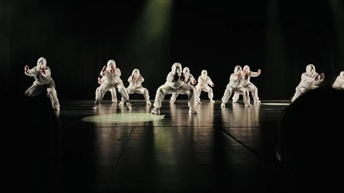 De fyra elementen - Showdansgruppen