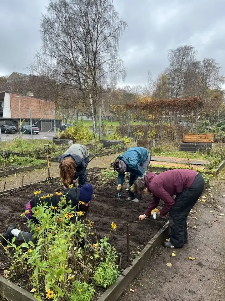 Prova på: Odla med oss!