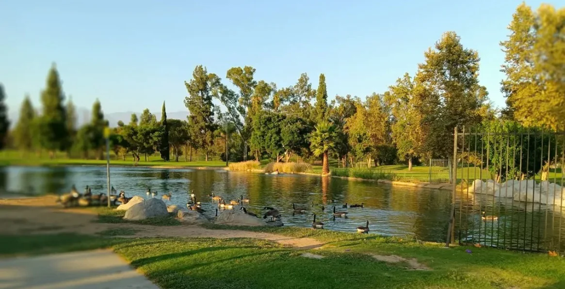 đż Friday Evening Park Walk: Unwind & Reset đż