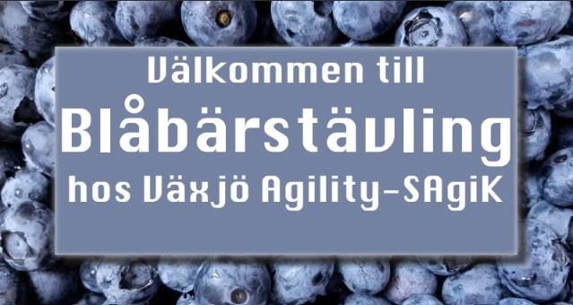 🫐Blåbärstävling i Maj🫐