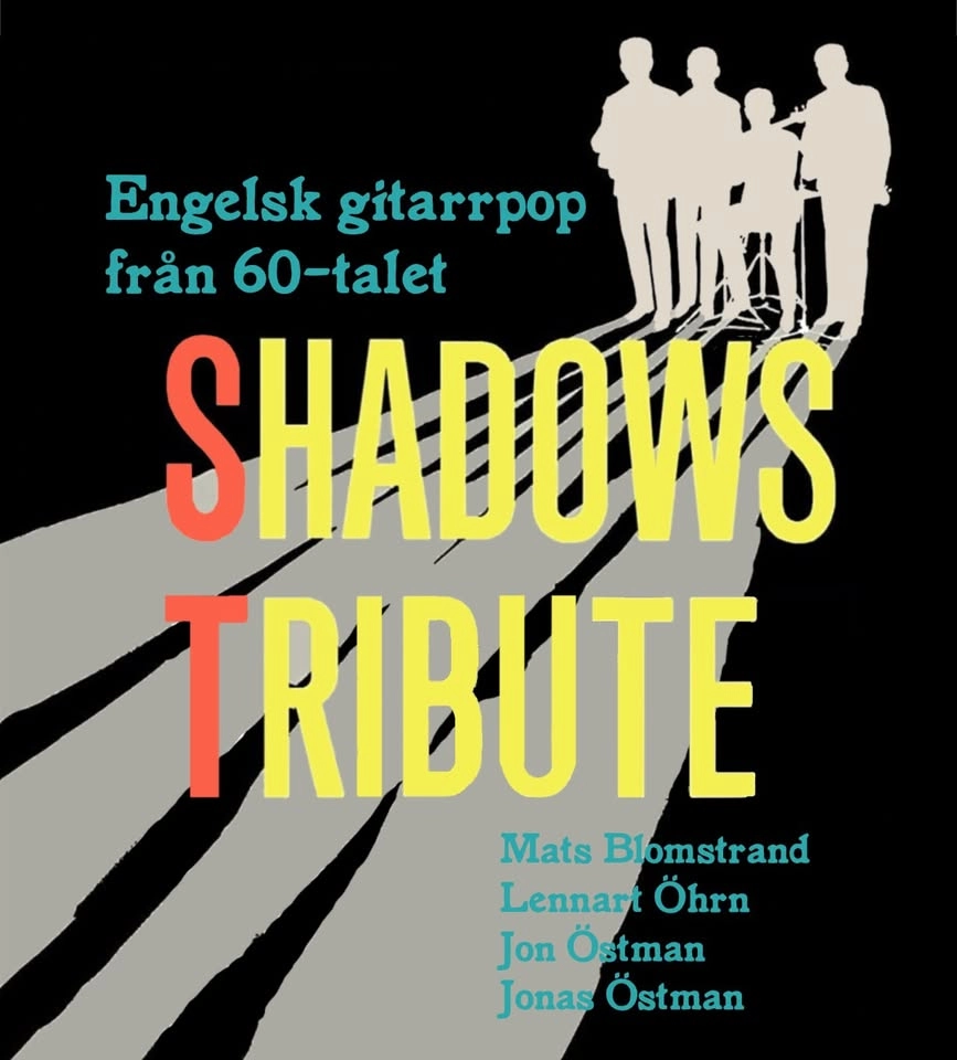 Shadows Tribute live@dogbaruppsala