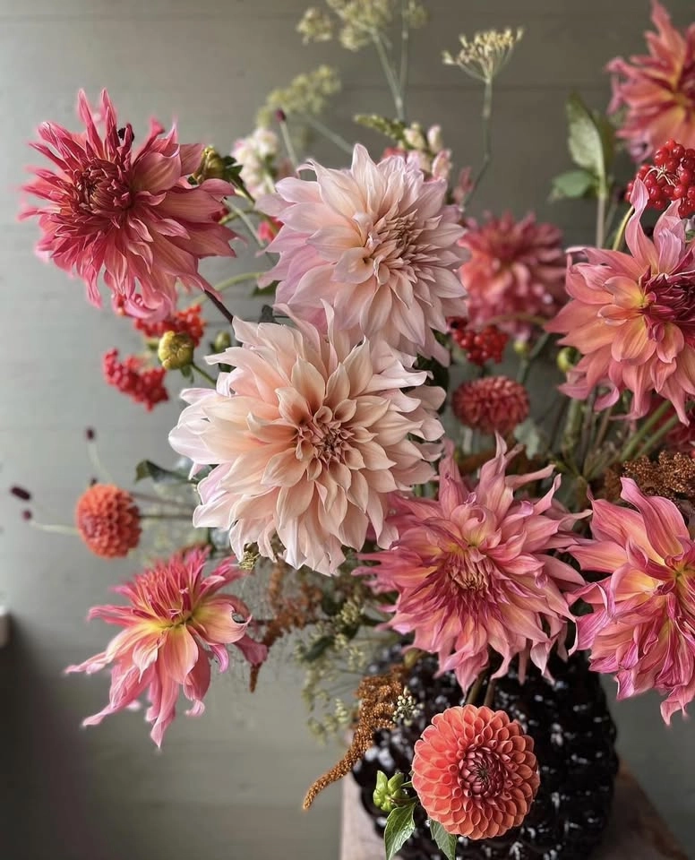 đ±GRĂN & GRĂN UTVECKLINGđ±