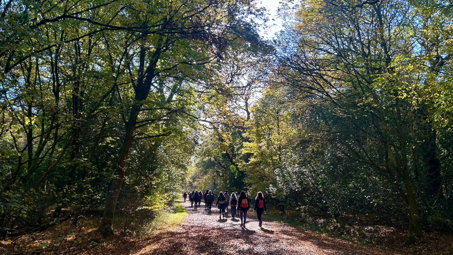 A Sunday wander from the Thames, through woods, to stunning views from the Downs