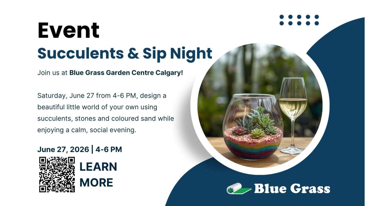 Succulents & Sip Night