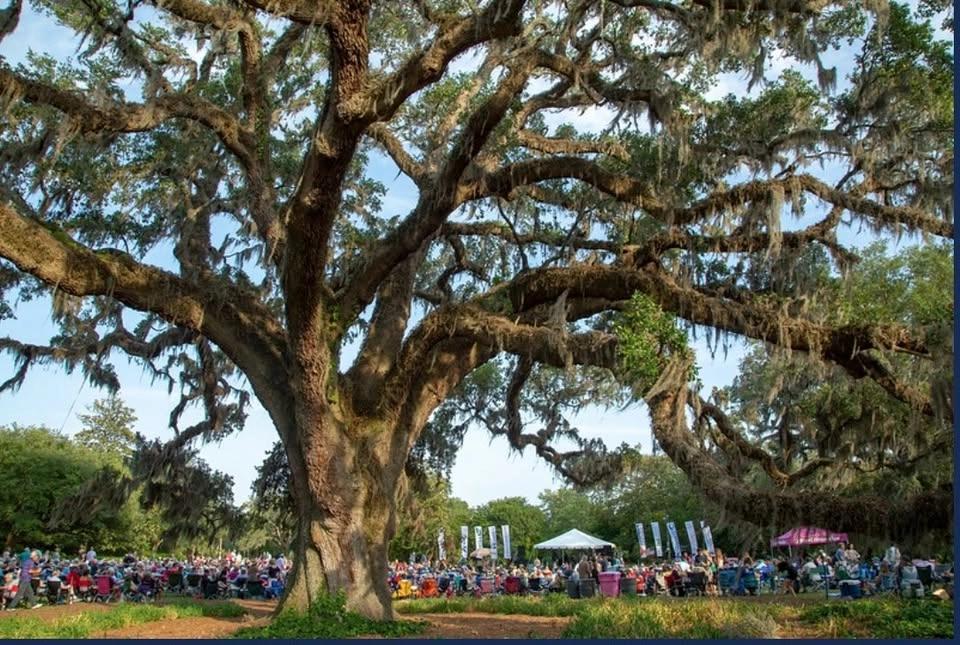 Jack Jack 180 Live- Airlie Gardens